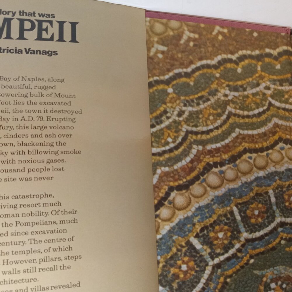 The Glory That Was Pompeii (HCDJ) Illustrated History Book by Patricia Vanags - Picture 6 of 8